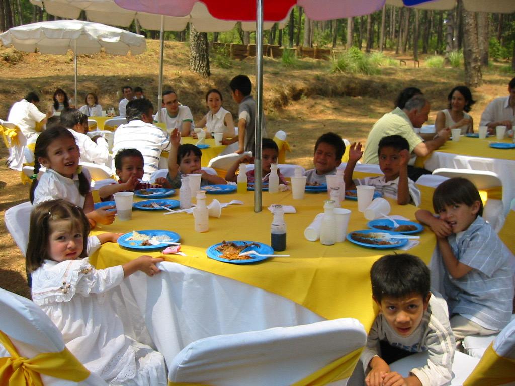 1760966747266-padi 3