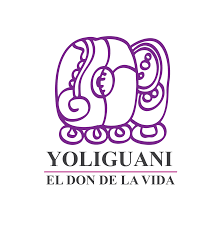 1760991392622-logo casa yoliguani